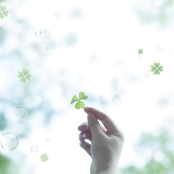 九江巴拉巴拉赵姐