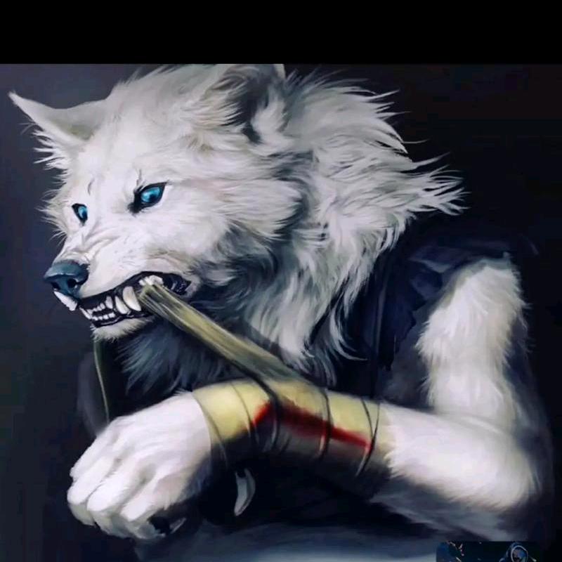 抱着嫦娥煮玉兔