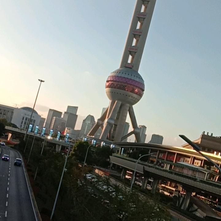 楊家军