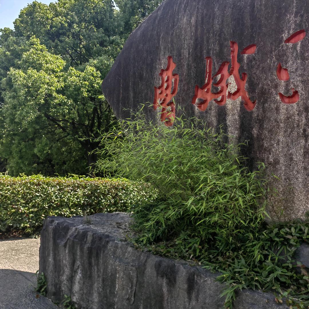 智隐东风