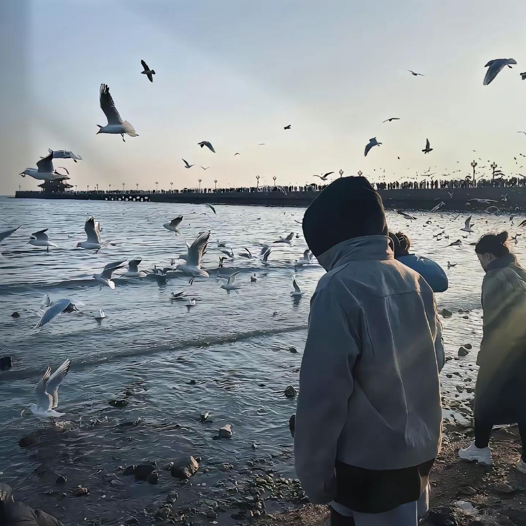 风有约，年年不相负