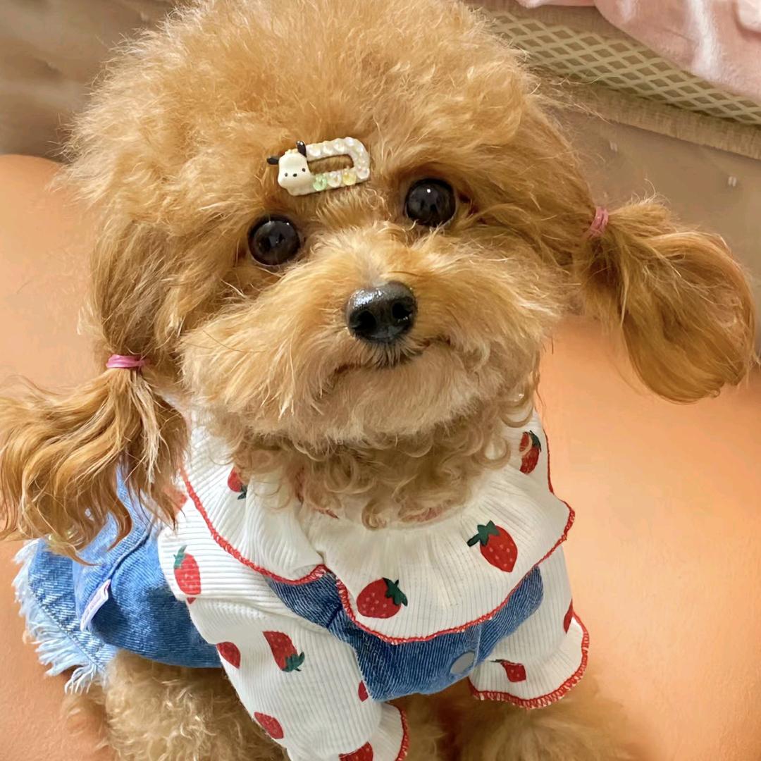 ℋღ᭄气质小女人🍒᭄💞࿐