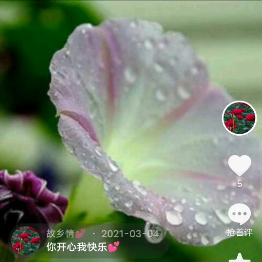 故乡情💕