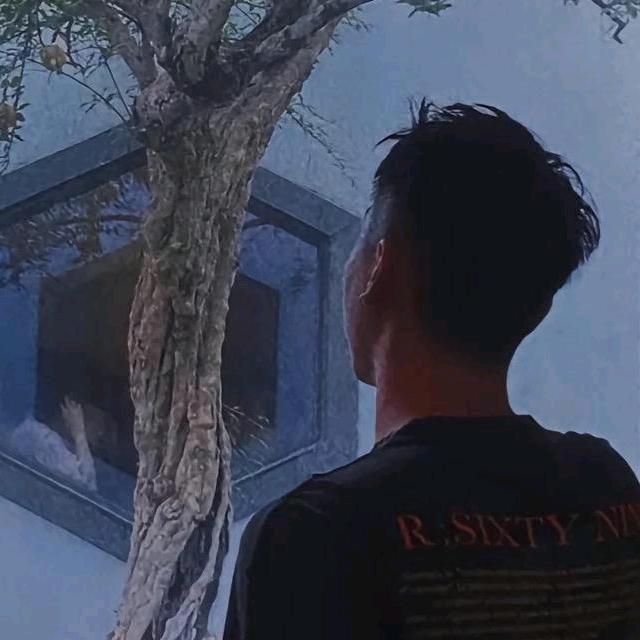 星辰-北乐🍰🥬