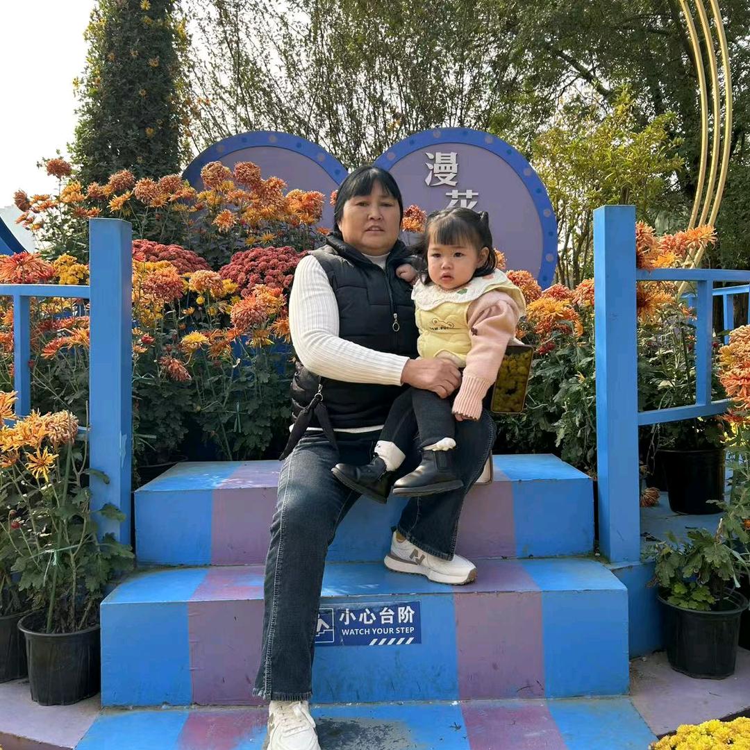 董家的女曹家的媳