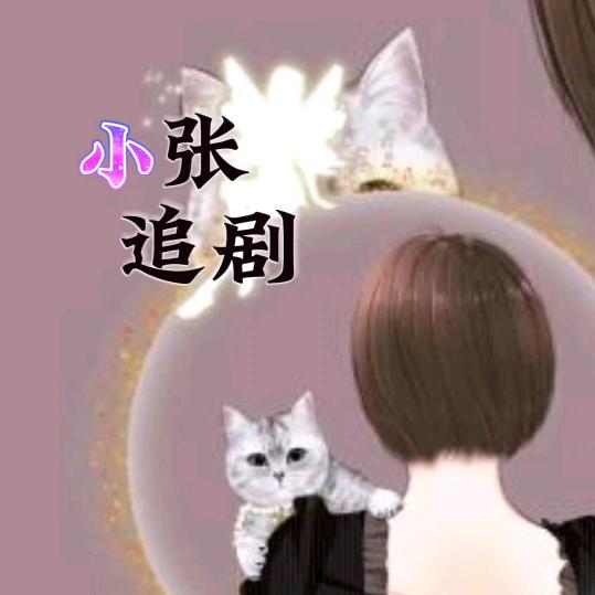 小张追剧