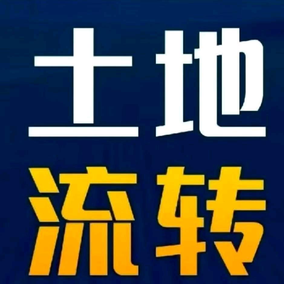 დ᭄ᩚ꯭ᩚ余生᭄ᩚ꯭ᩚ随心꧔ꦿ💞᪲