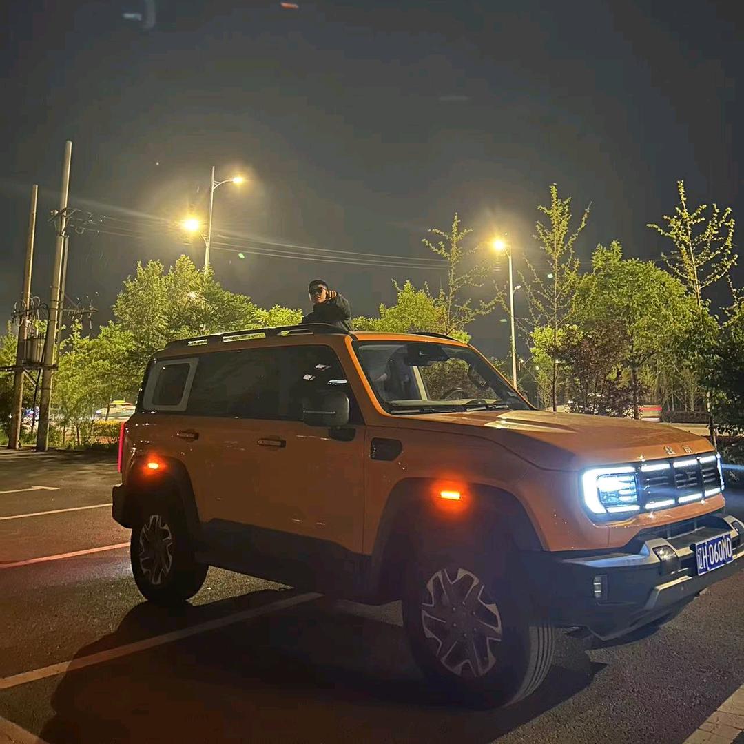 每天都是高碳日