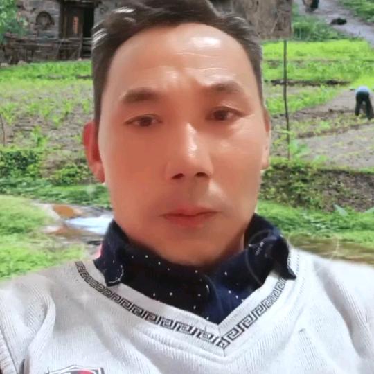 专业西瓜种植户