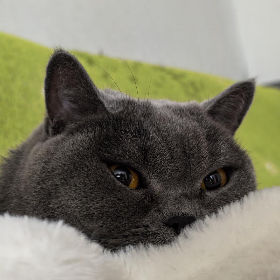 每天一杯冰阔乐🥤