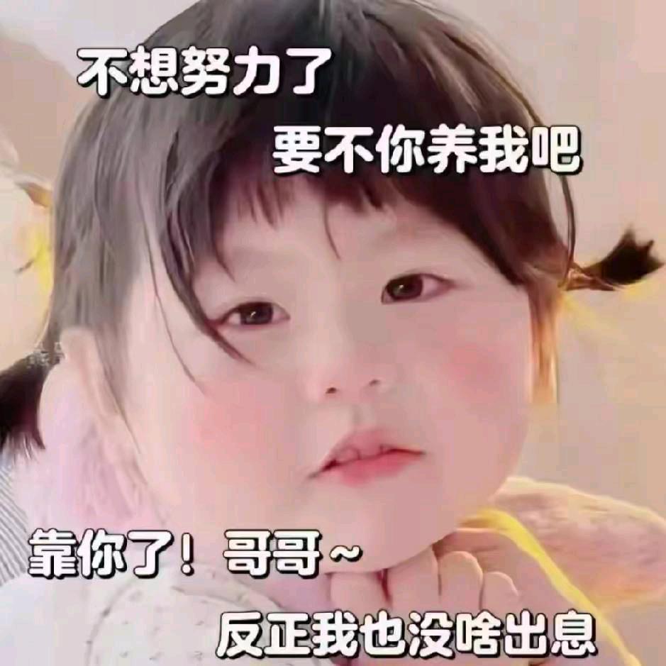 不负遇见