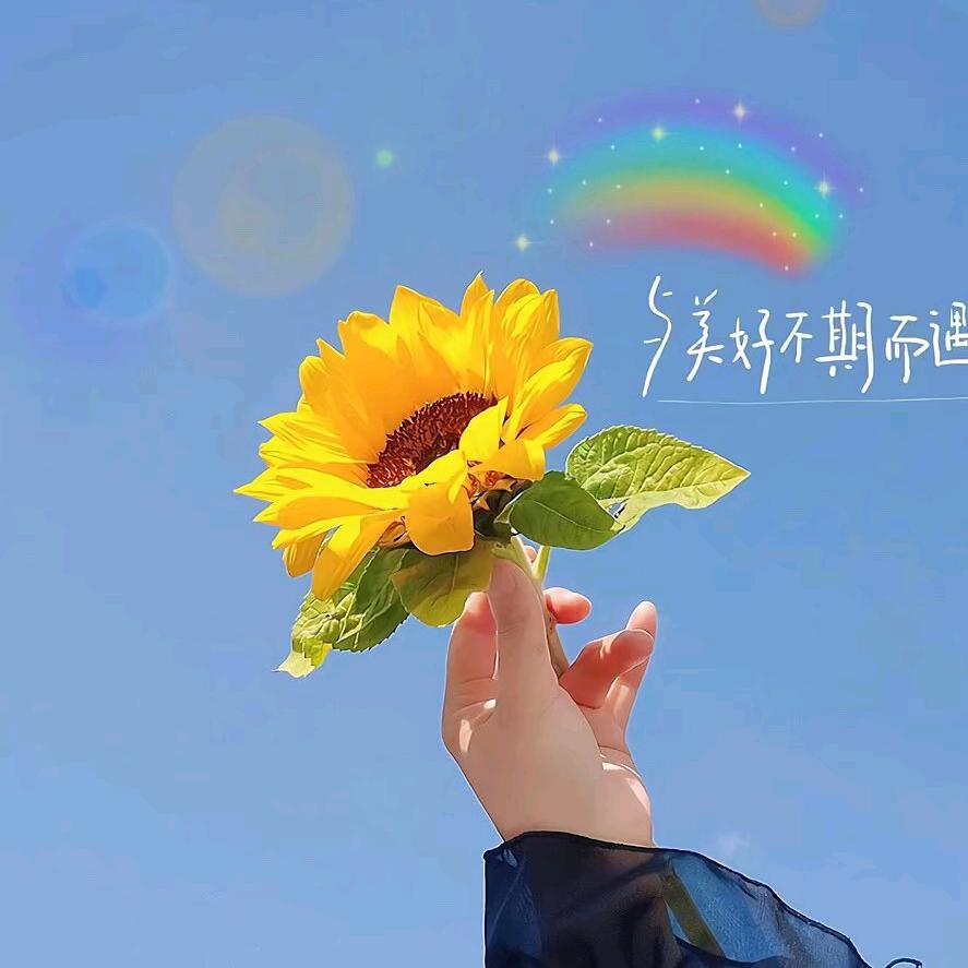 拽丫头_521