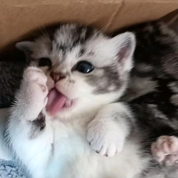 想