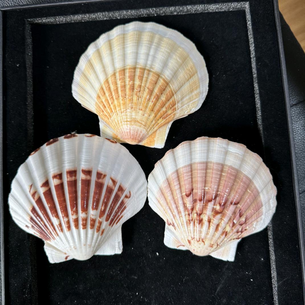 环翠区芳姐工艺品店