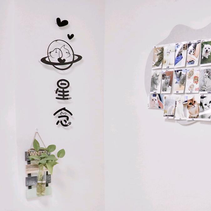 深圳星念宠物善终服务