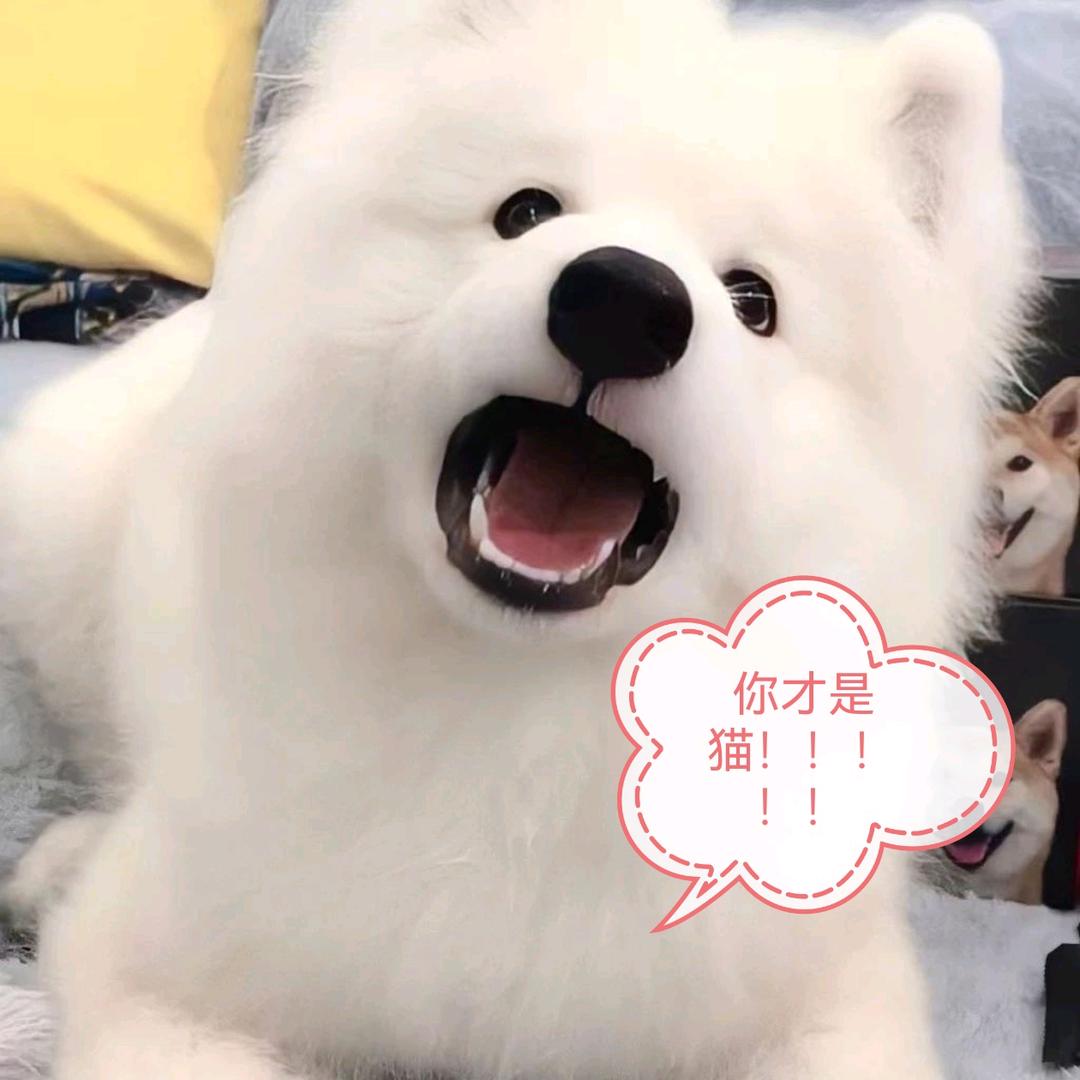 东