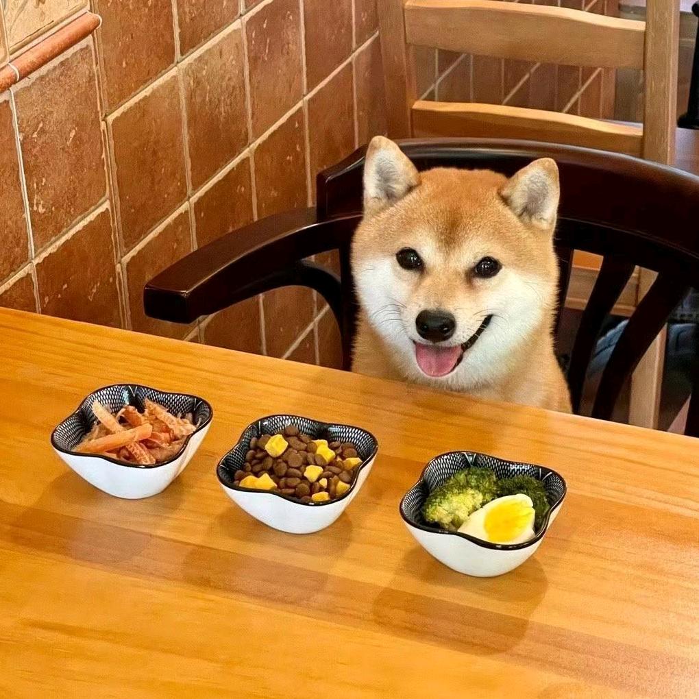 shiba lnu