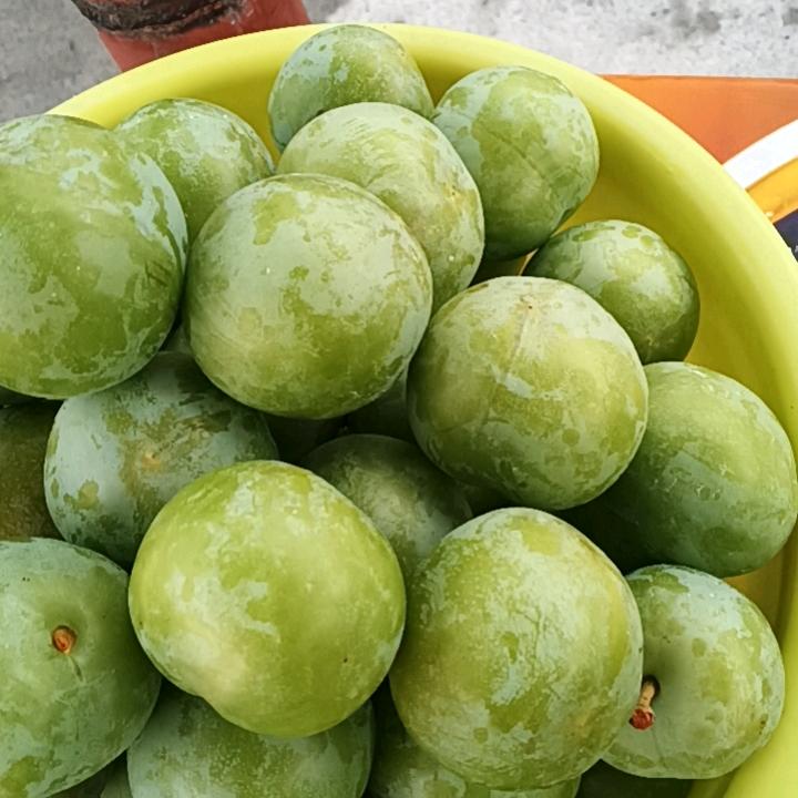 红星闪闪亮