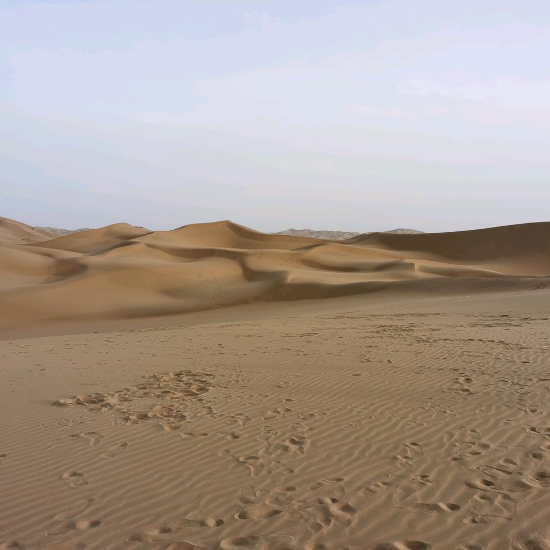 A . ▓  咖 啡 、