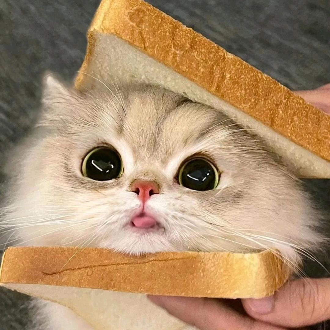 纽绍客文化-老七