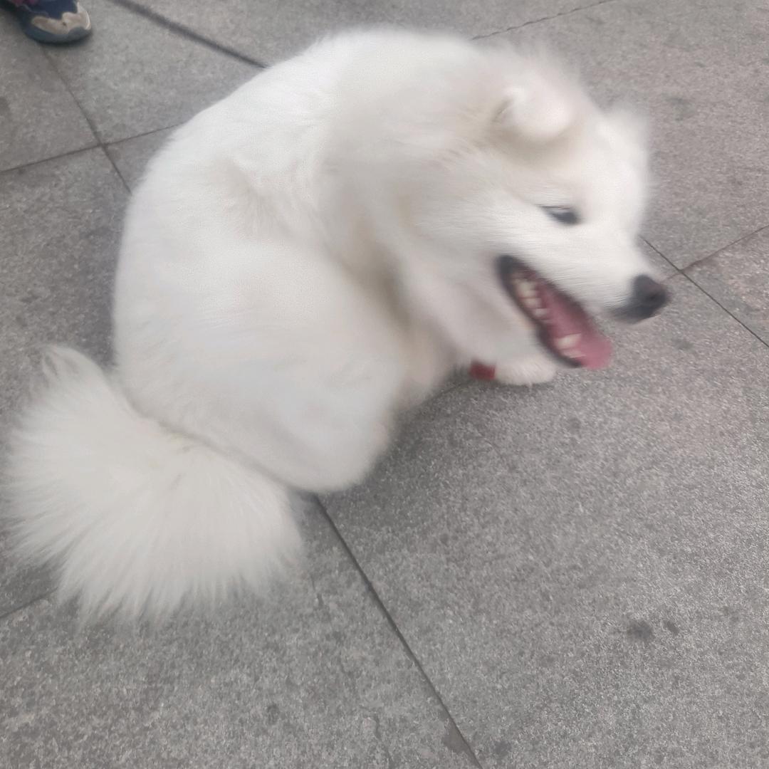 溏心蛋（破防版）