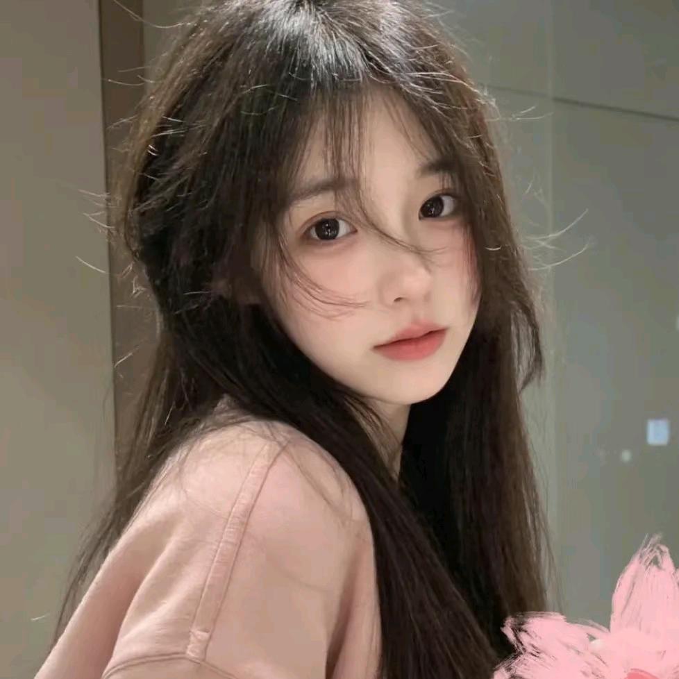 fe晓晓