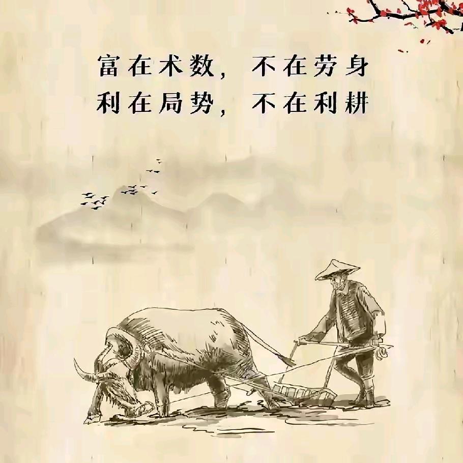 禾元