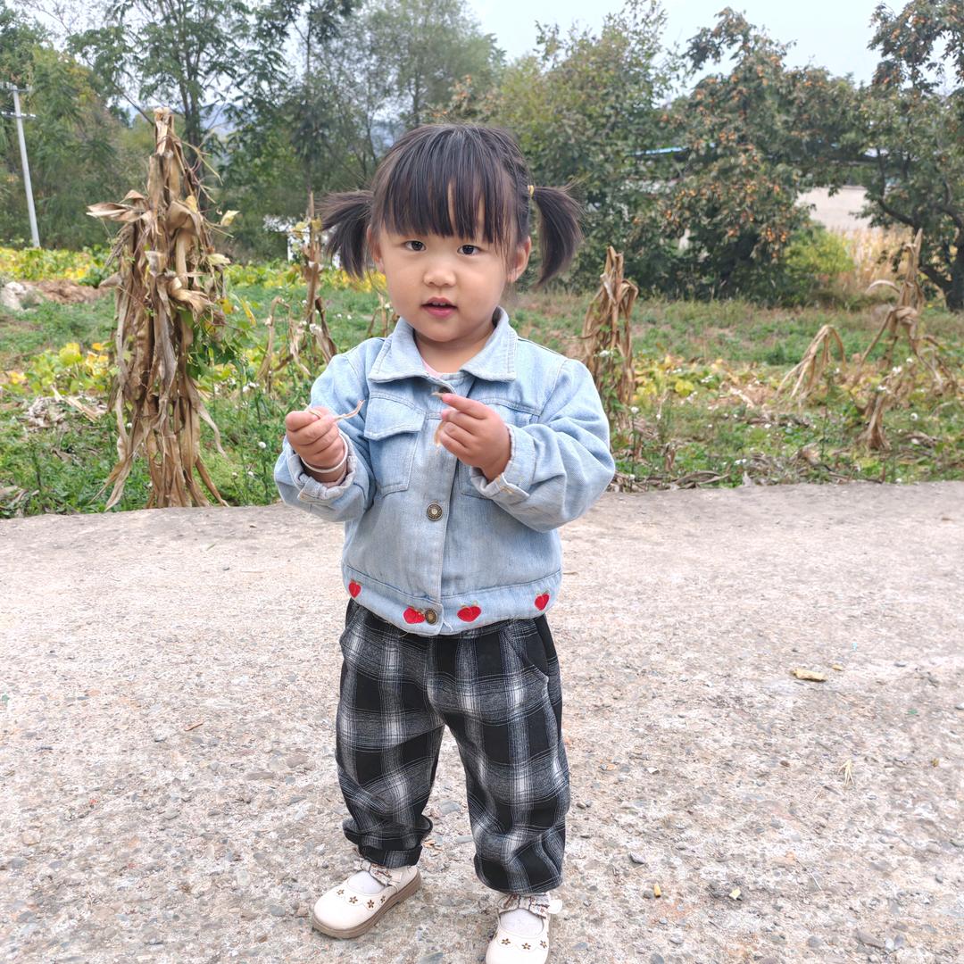 坎坷人生