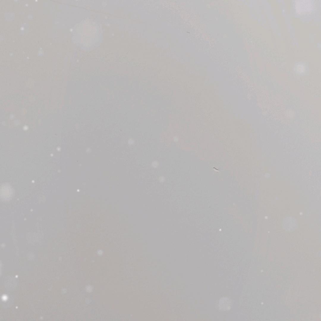 九爷