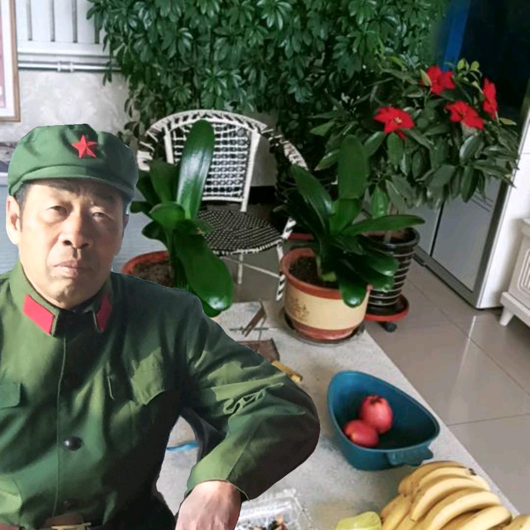 靳纪民#点赞必回