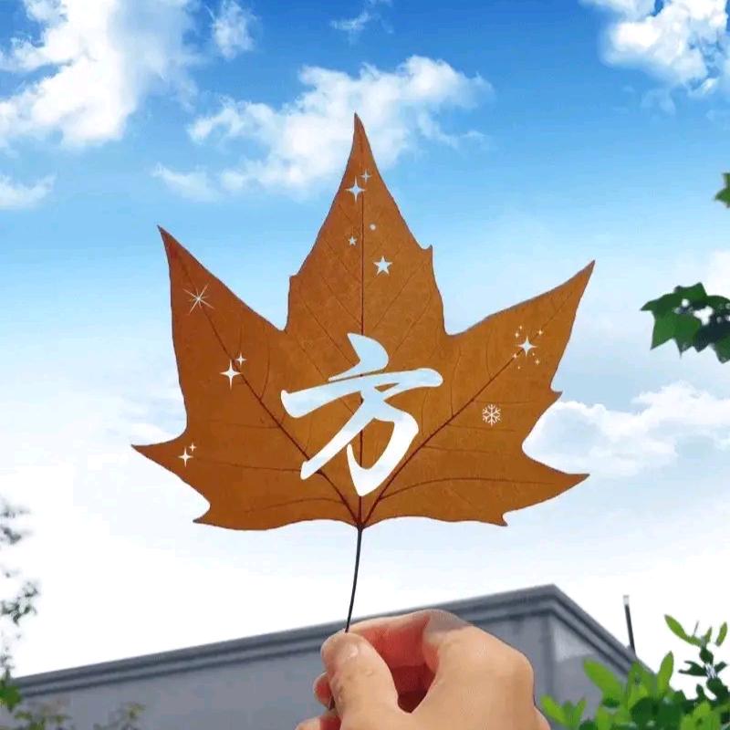 ⚡️向钱看🍁
