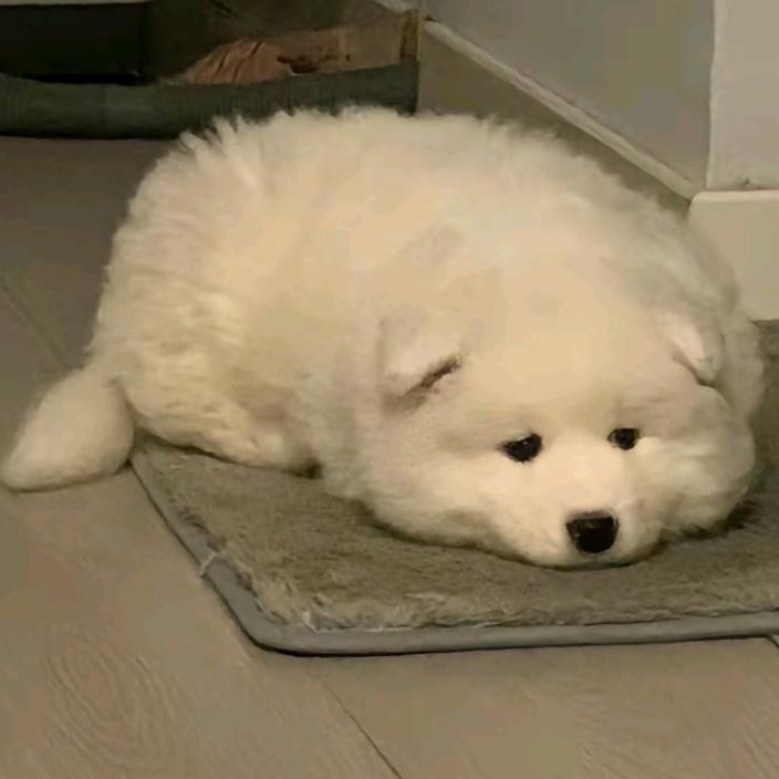 永远.