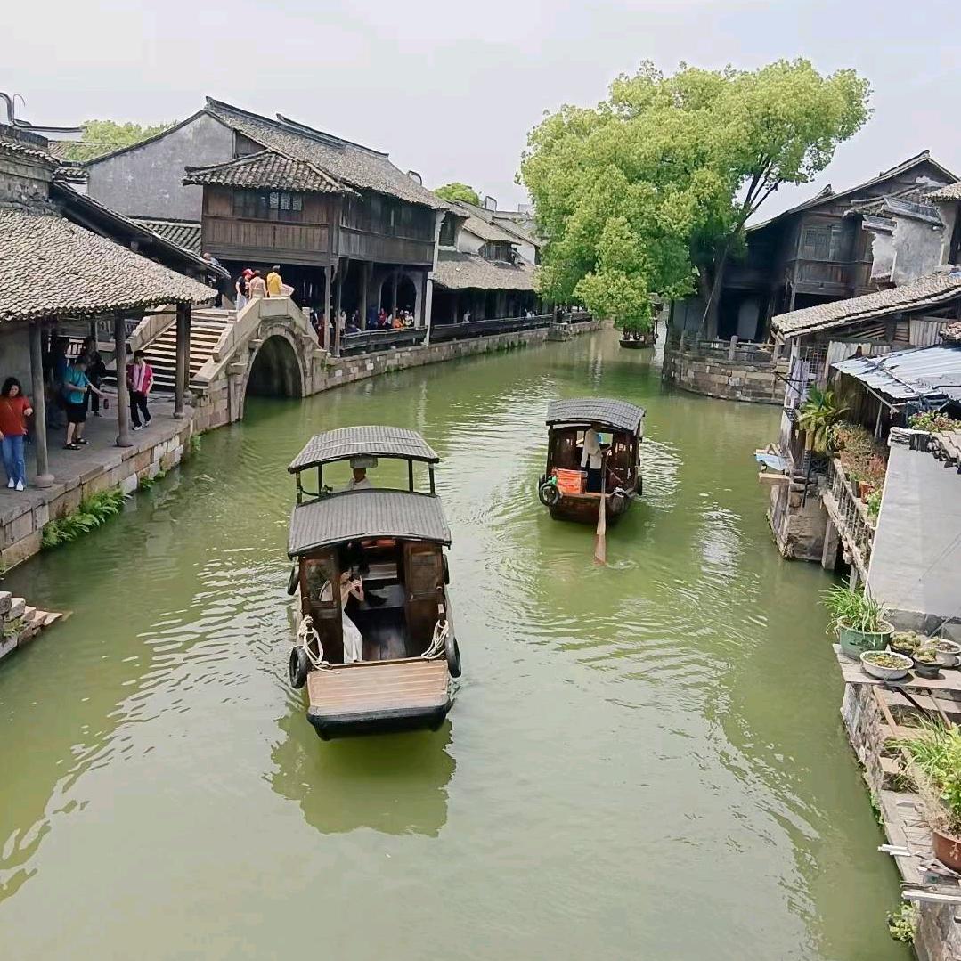 为了生活拼搏