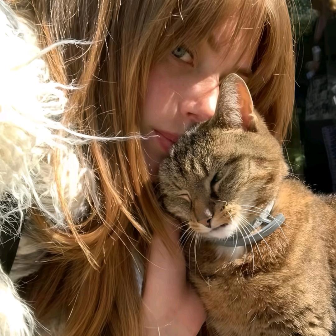 小猫埔莉