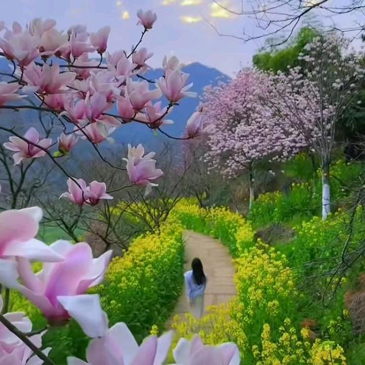 彩晨🌈