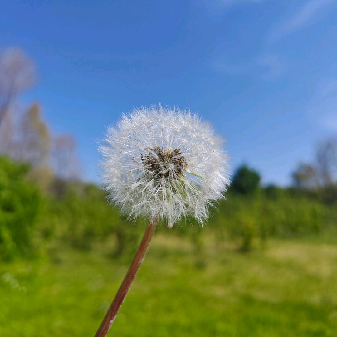 @孙小姐🌻