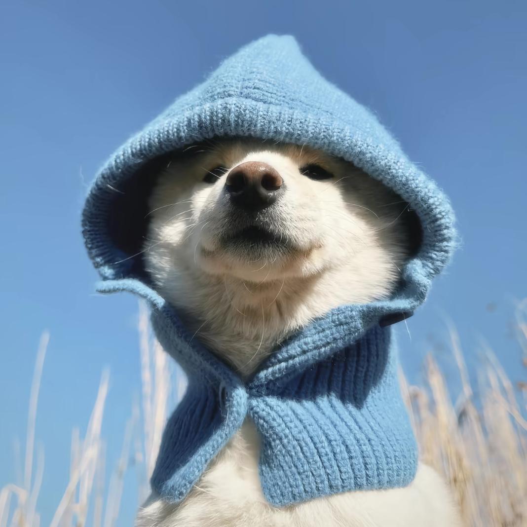 ∶D