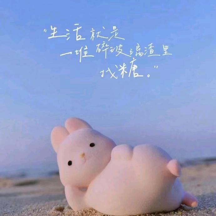 卡卡@