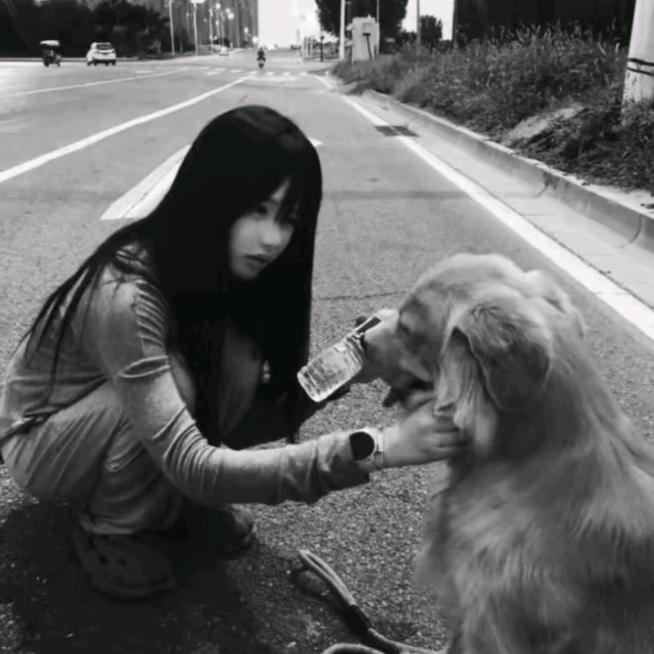 权-