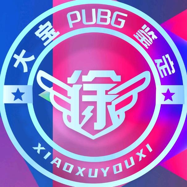 小徐阁-PUBG评估（大宝）