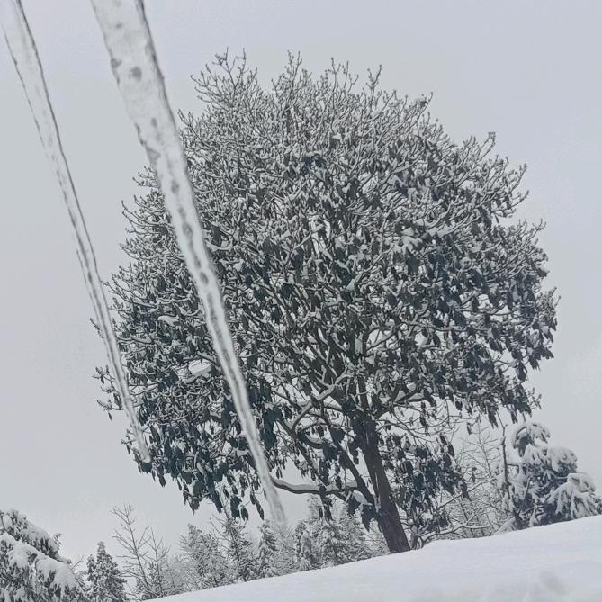 🔒锁💓心🎇葬爱💐