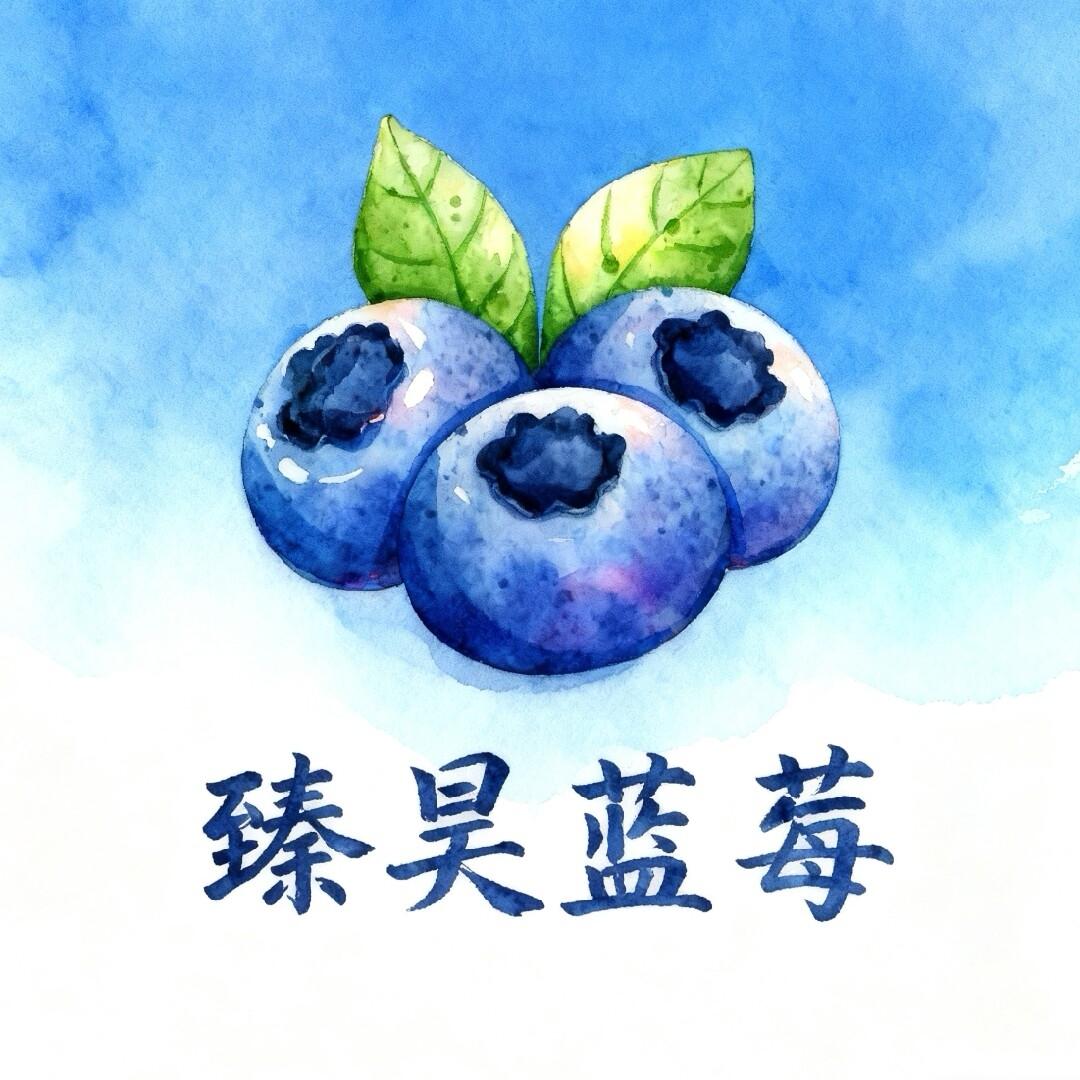 丹东臻昊蓝莓