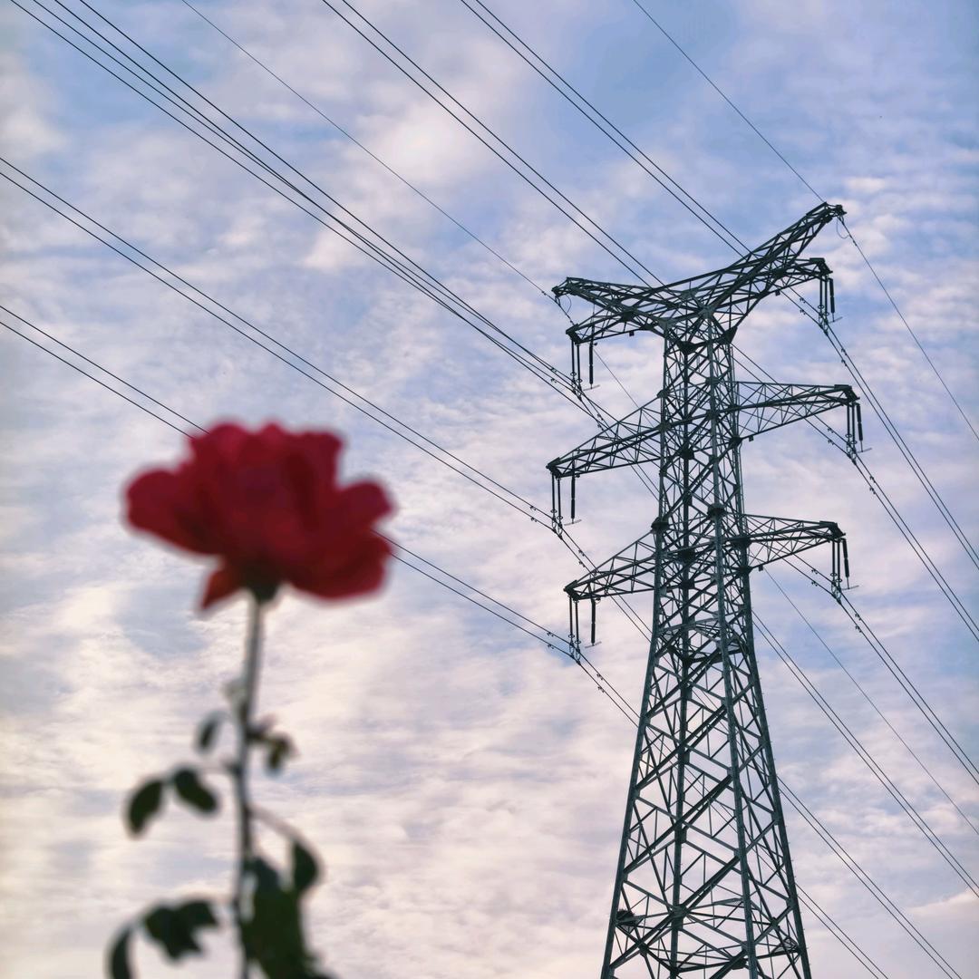 AAAA小米批发糕总