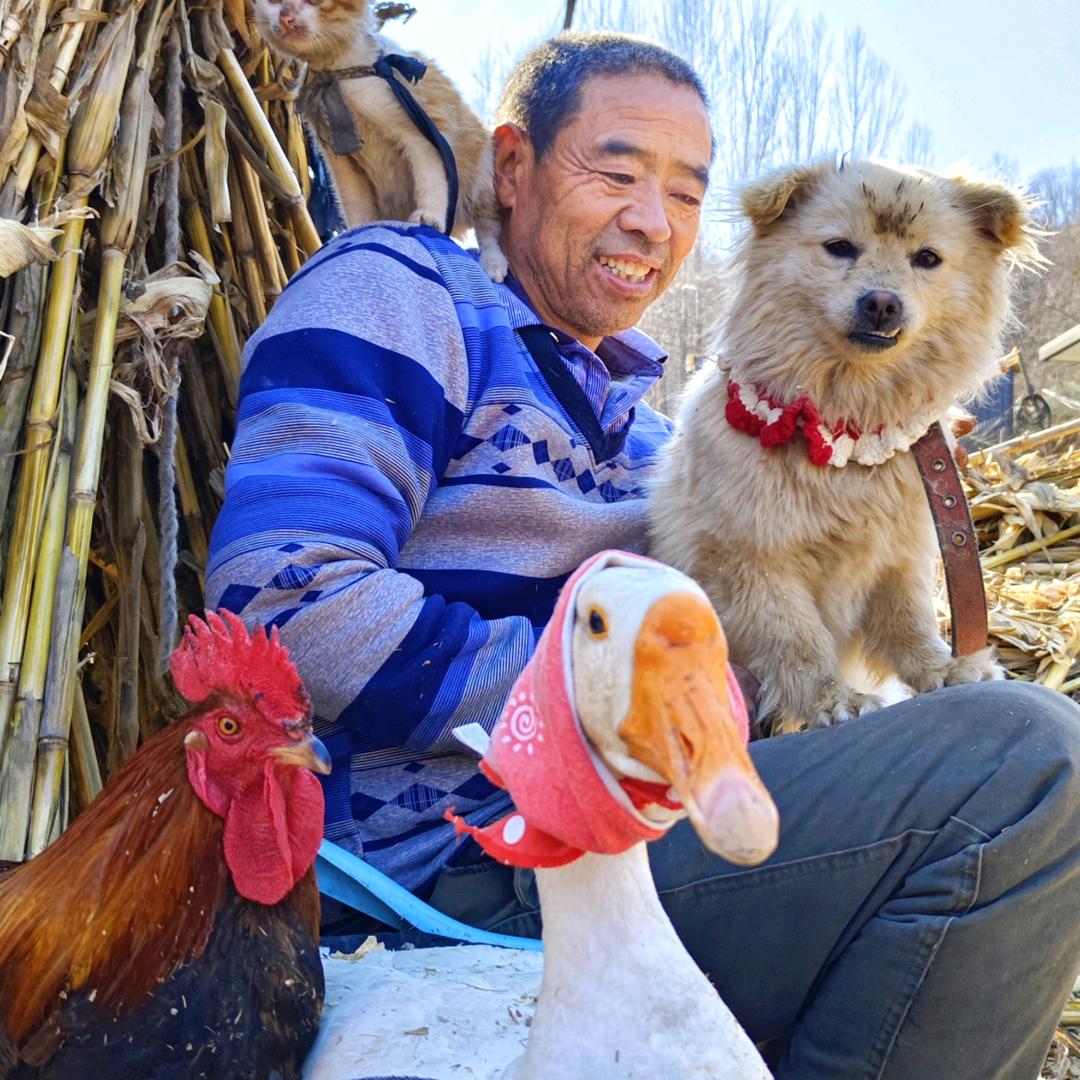 围场宝山农场