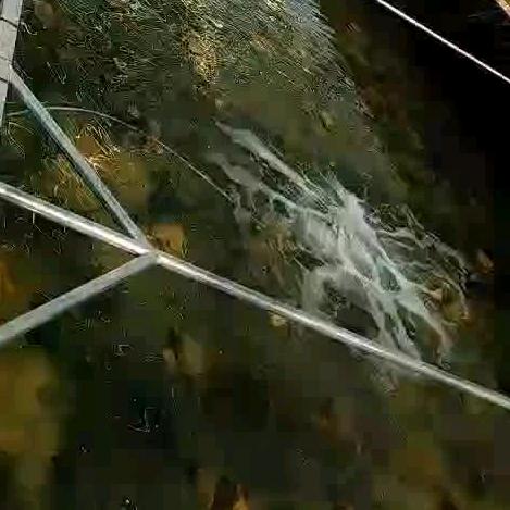 辉哥优选的头像