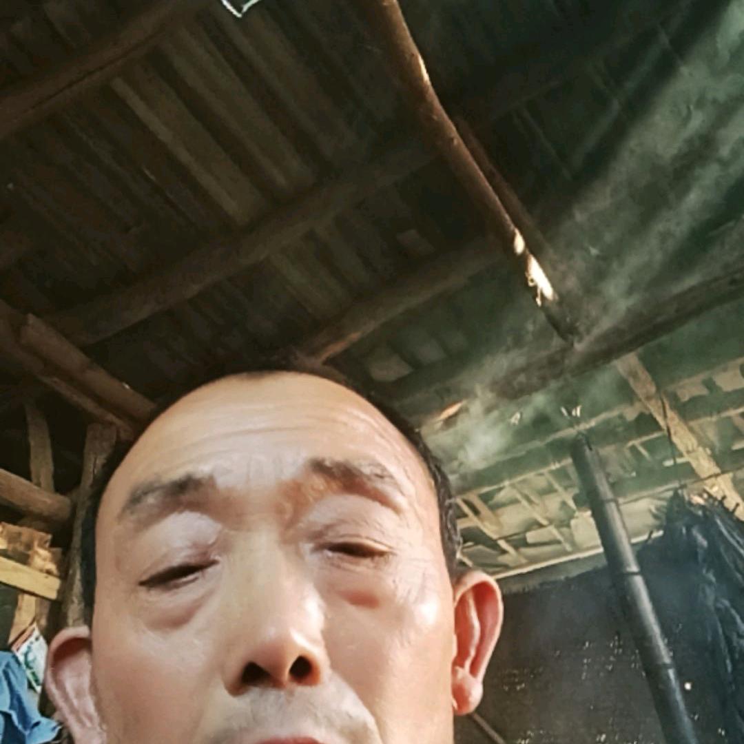 吴世杨