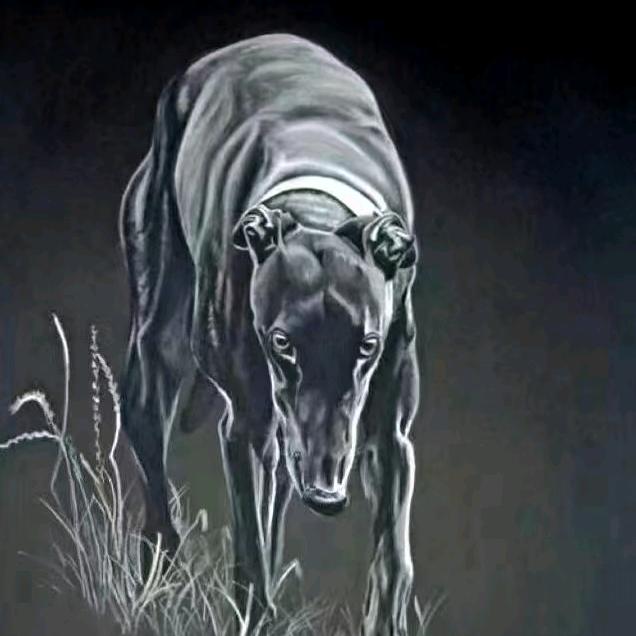 一米阳光…谢谢大家的关注👏