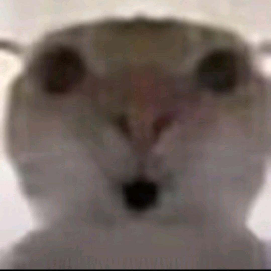 薯鼠66