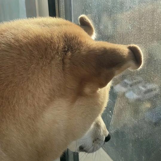 狂踹瘸子的那条好腿