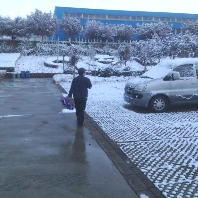 大狼